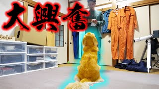 まる君にお友達からプレゼント！