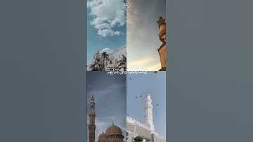 الذين يذكرون الله قياما - سورة آل عمران - القارئ سعد الغامدي