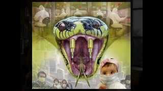 Atlantis Ultra Dr Sladjana Velkov O Vakcinama I Irena Baret O Fluoridu 25.12.2011.