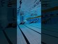 15m underwater #finswimming #swimming #nageavecpalmes #swim #underwater #monofin #swimmingpool