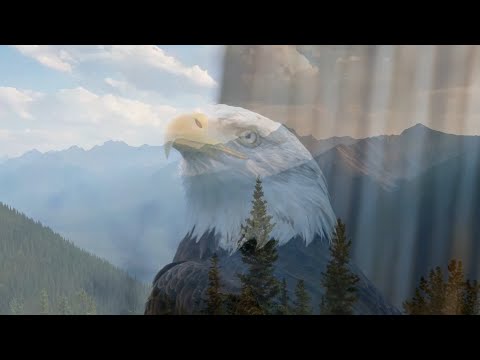 Tangerine Dream - White Eagle (1982) - Video Tribute