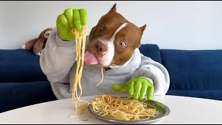 Chocodogger VS Spaghetti Meatballs