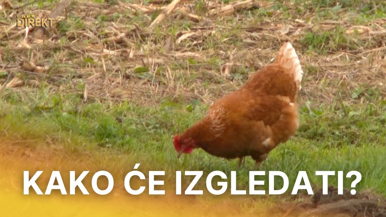 Skladište radioaktivnog otpada iz nuklearne elektrane gradit će se u vojarni Čerkezovac | RTL Direkt