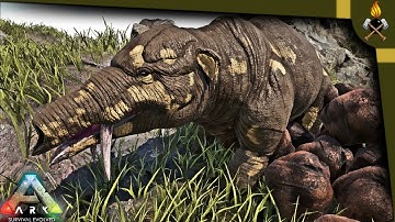 ARK How to tame:  Phiomia