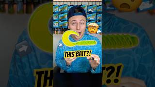 This Bait Just Won A Bassmaster Elite Tournament