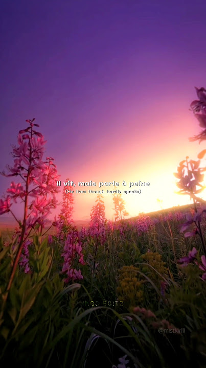 indila - love story (english lyrics) aesthetic edit #indila #lovestory