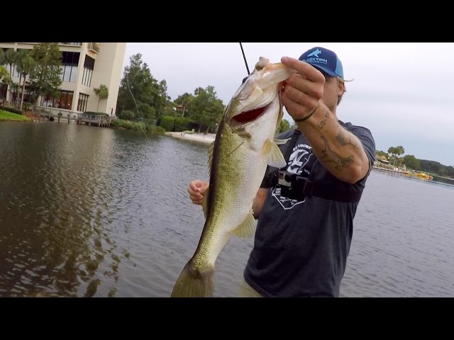 I LOST A 10 LB BASS!!! Florida Pond Fishing (ft. Jon B., Andrew