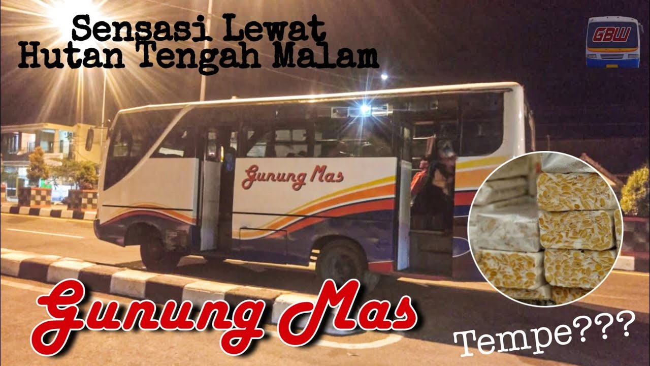 Sensasi Naik Bis Bareng Tempe !! Trip Report Dinihari ...