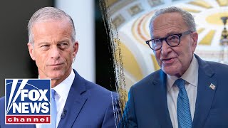 This is a big political game, Senate Majority leader says screenshot 5