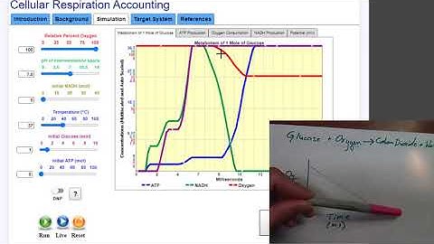 Behavior Over Time Graphs: Part 1