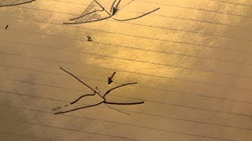 478 - Flintknapping Long Flakes - Angles and Platforms Part 2/3