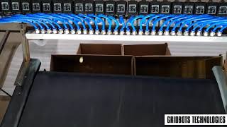 Gridbots Autosort - Ultra High Speed Sorting System