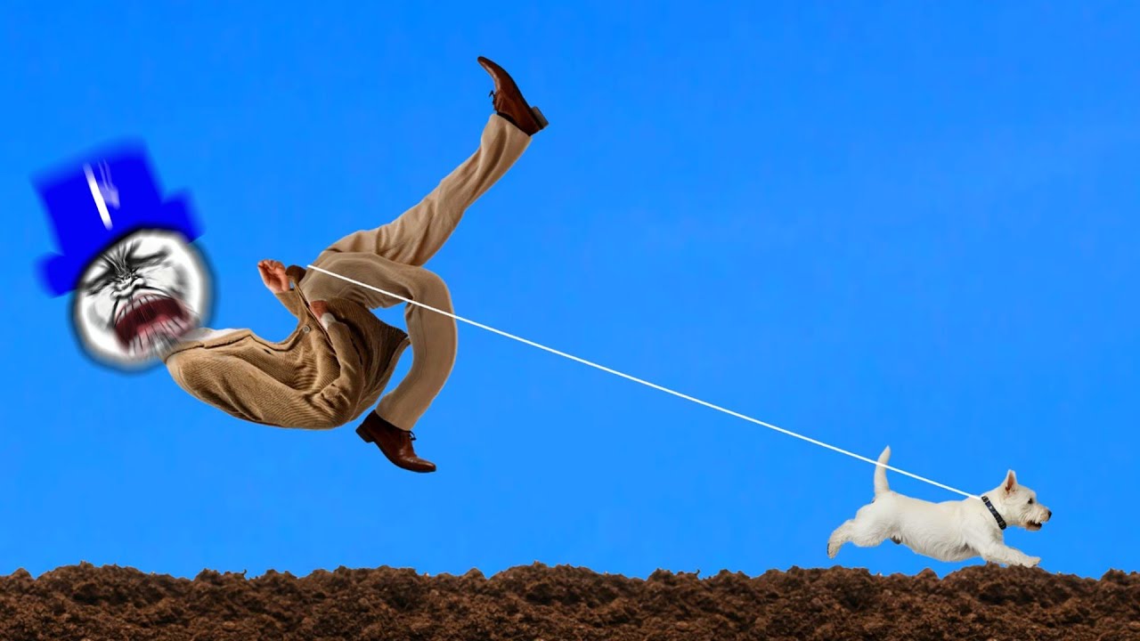 とんでもない速度で引っ張ってくる最強犬の散歩をするバカゲー。