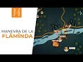 Manevra de la Flămânda // The Maneuver from Flamanda // English subtitle in CC