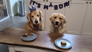 Oshie's 9th Birthday | Oshies World by Oshies World 6,420 views 1 year ago 4 minutes, 50 seconds