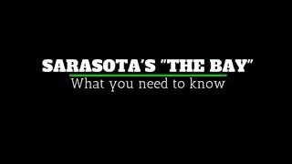 Sarasota's The Bay: What you need to know
