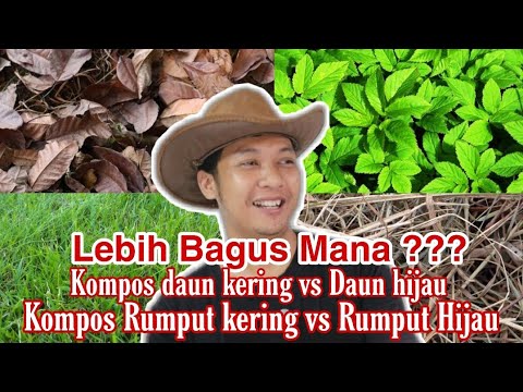 Video: Kompos Dan Pupuk Hijau