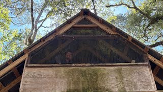 Hiking Rice Creek Conservation Area: Nature's Playground Awaits!