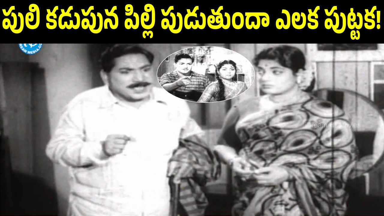 The Natural Comedy By Relangi In Those Days | N T Rama Rao | Krishna Kumari | iD Harivillu