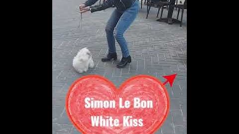Simon Le Bon White Kiss ❤❤❤
