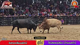 ลังสาดเหลี่ยมพยัคฆ์ (แดง) VS โคนิลแซมรุ่งเรือง [อ้ายมนต์ดำ] (น้ำเงิน)