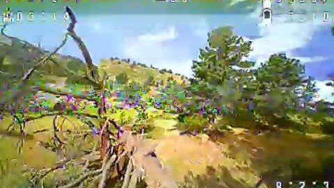 Tinyhawk Freestyle Long Range Crossfire w/ modded VTX