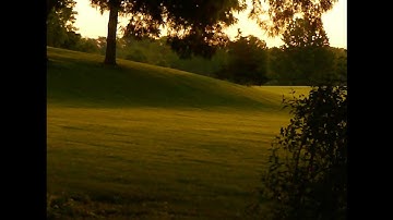 2024 Early Morning through a 2000s Camera