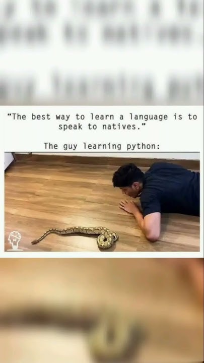 The power of python #programming#memes - YouTube