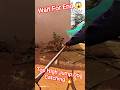 Top High Jumping Dog Catching #dog #dogwithpublicsafety #ytviral #pets #dogshorts #shorts