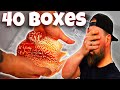 The ultimate unboxing 40  of oneofa kind rare tropical fish 