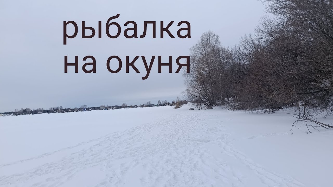 Рыбалка на окуня