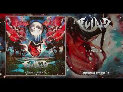 EVILYN (International) - Penance (Technical/Dissonant Death Metal) Transcending Obscurity Records