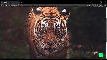 SCROLLTOP BUTTONHTML CSS & JS