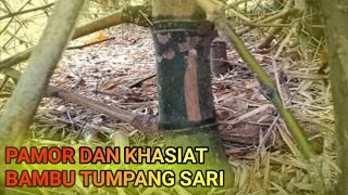 FILOSOFI BAMBU TUMPANG SARI
