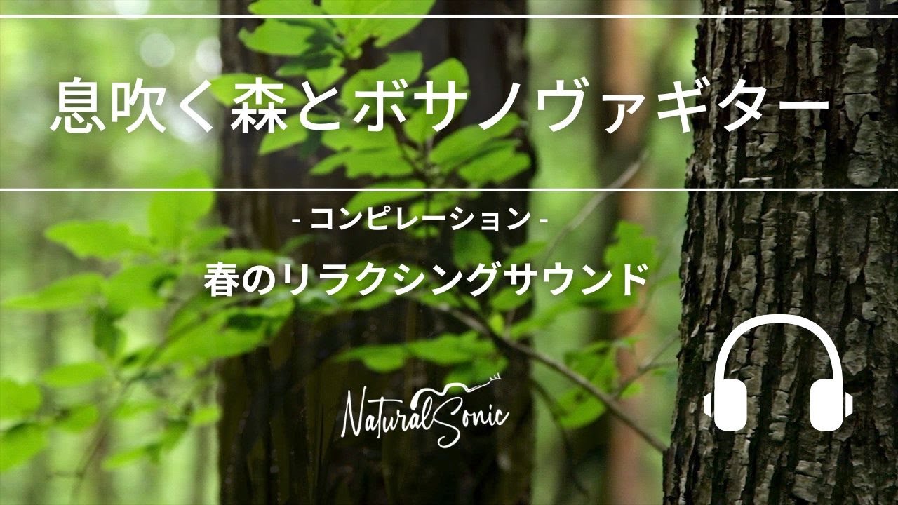 Natural Sonic 「 息吹く森とボサノヴァギター」- コンピレーション - 春のリラクシングサウンド