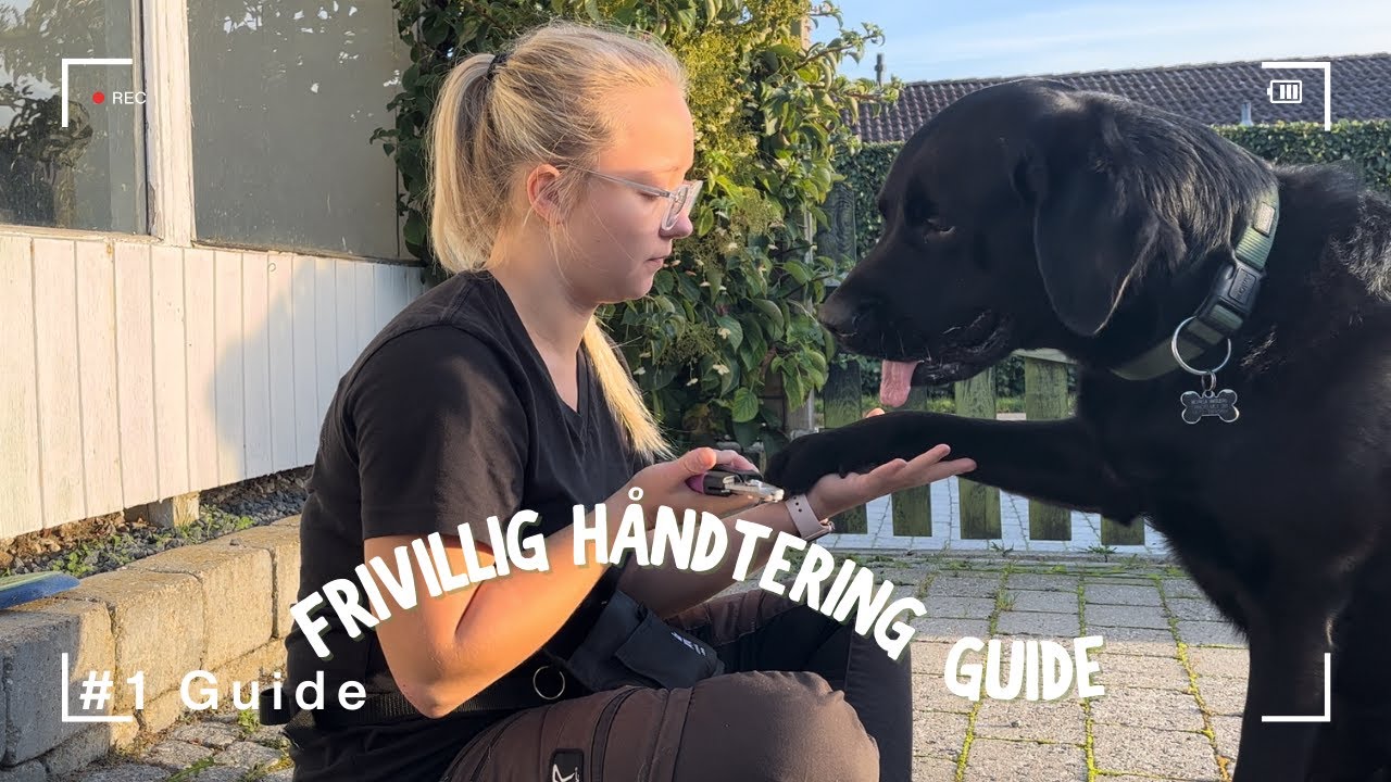 Lær din hund at få klippet negle og børstet tænder - Videoguide #1