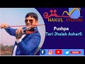 Pushpa movie song srivalli  violin cover by nakul violinist