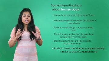 Life Process - 1 | Introduction | CBSE Class 10