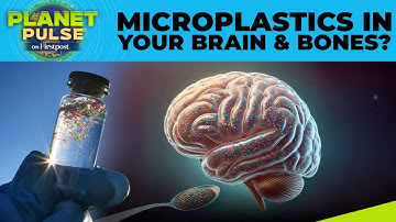 Scientists Find Link Between Microplastics & Dementia In Humans | Planet Pulse | N18G