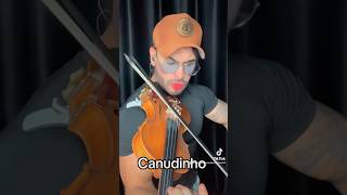 Canudinho - Gusttavo Lima e Ana Castela ( Violin Cover) #violin #canudinho