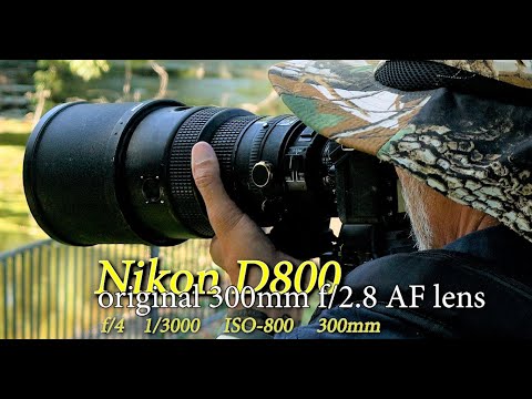 Nikon D800 動作品 hqdefault.jpg