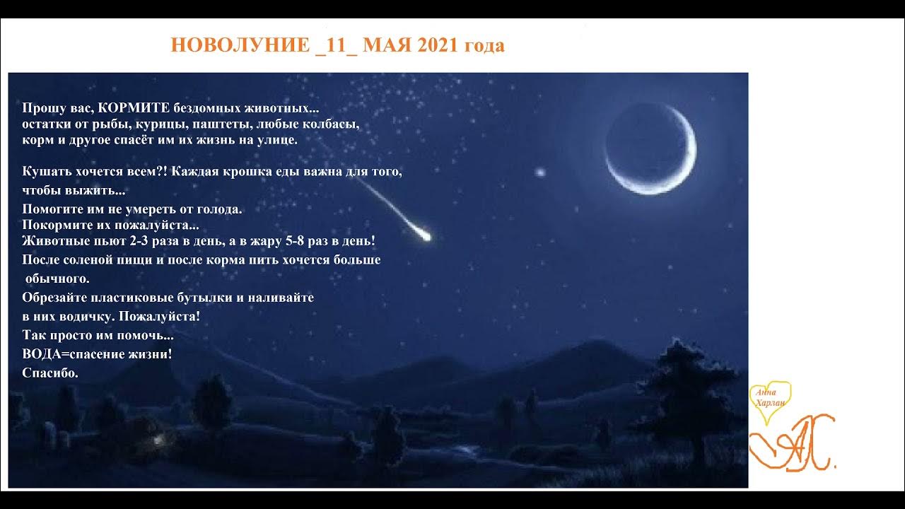 Новая луна в ноябре 2024. Фазы луны 2024. Полнолуние в ноябре. Сегодняшняя луна. Новая луна в ноябре 2024.