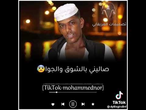 ياقماري ليهو طيرن