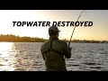 Swimbaits and Topwaters Get Destroyed Fishing Inshore!