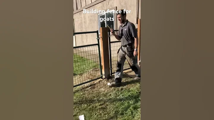 Building a strong fence for goats!