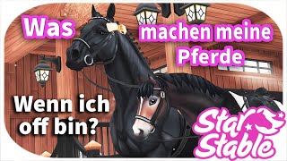 Was machen meine Pferde, wenn ich off bin? 😱 SSO 🎀