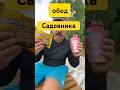 Даебак - острый рамен ! #обед #доширак #напиток #гуава #остраяеда #еда #mukbang