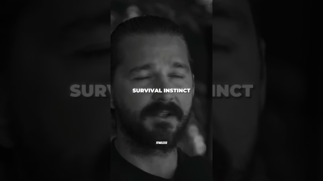 Shia LaBeouf - I made peace with being misunderstood. That’s power. 