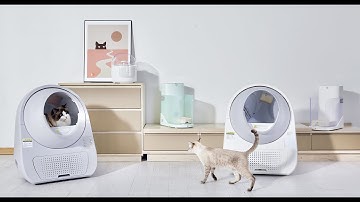 Young: CATLINK  Automatic Cat Litter Box (Young)