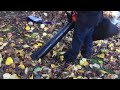 My Black + Decker Leaf Vacuum Trial – Kevin Lee Jacobs
